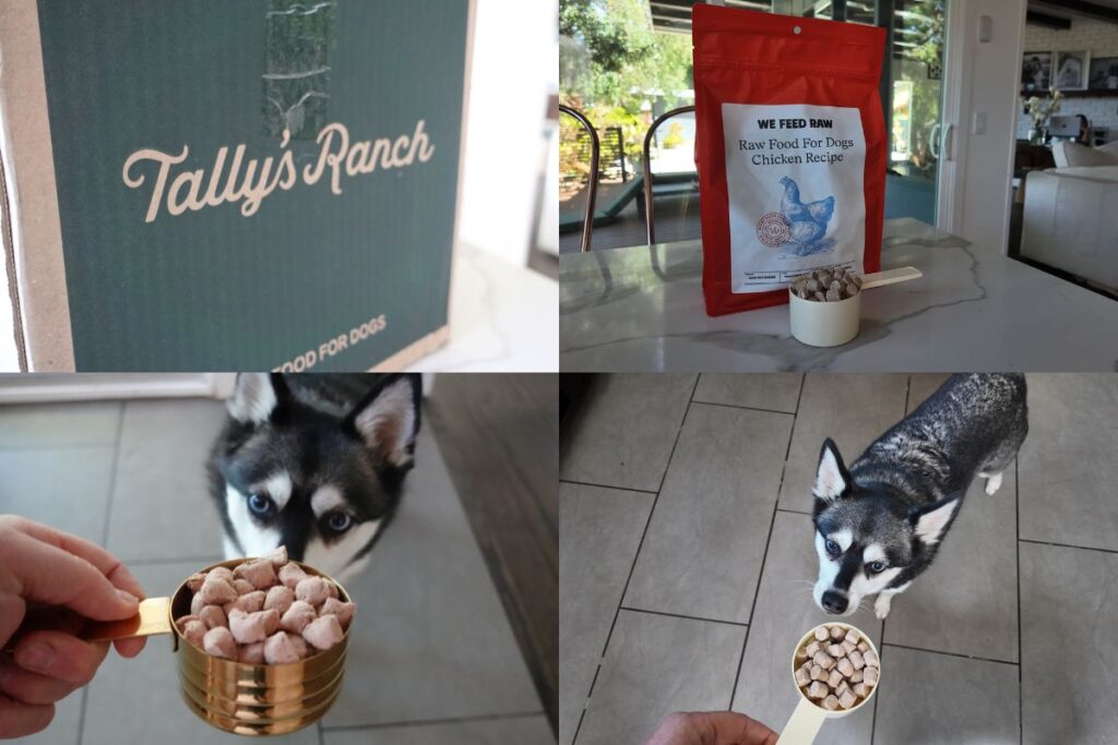 We Feed Raw vs Tally's Ranch