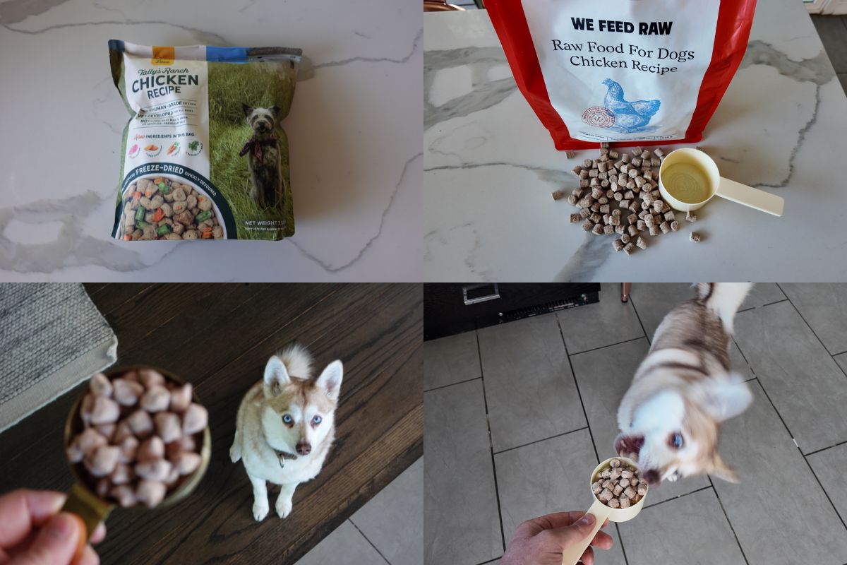 We Feed Raw Vs Tally's Ranch (2026): Which Dog Food Is Better?