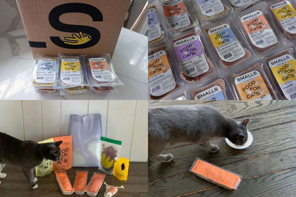 Smalls cat food honest review