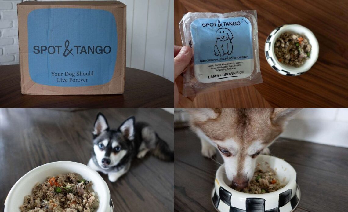 Spot & Tango pros and cons