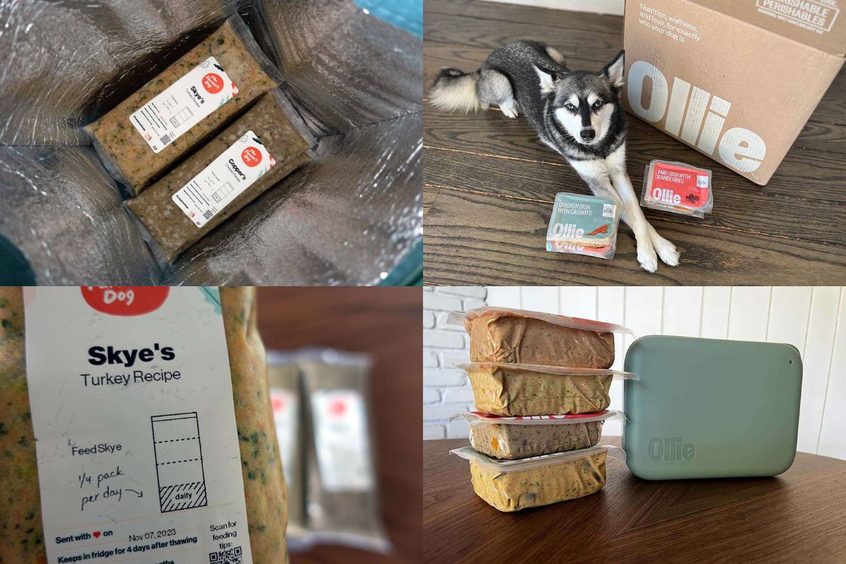 The Farmer's Dog Food