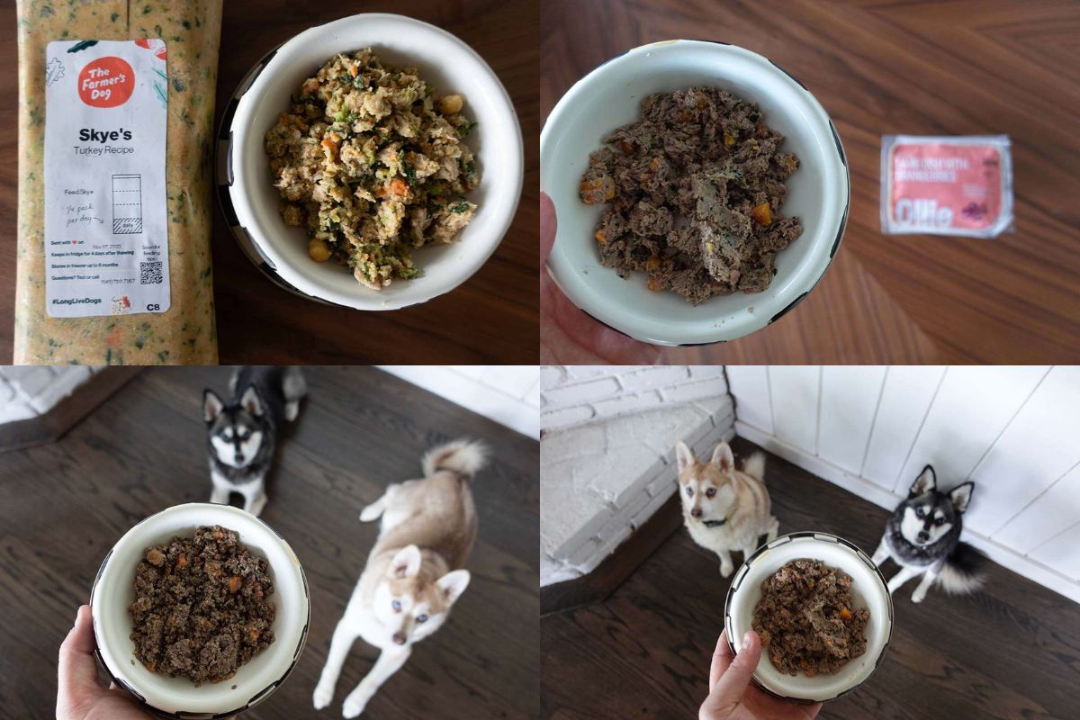 The Farmer's Dog Food