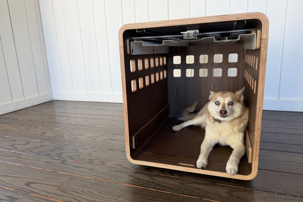 Fable Dog Crate