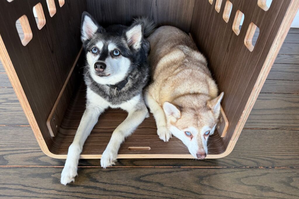 Fable Dog Crate