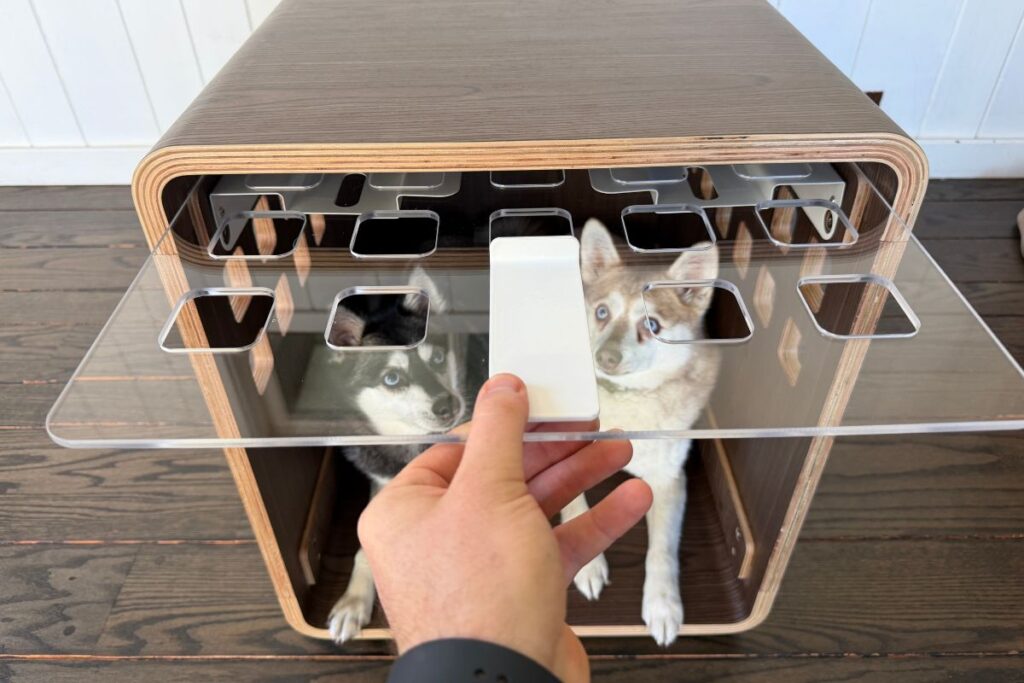 Fable Dog Crate