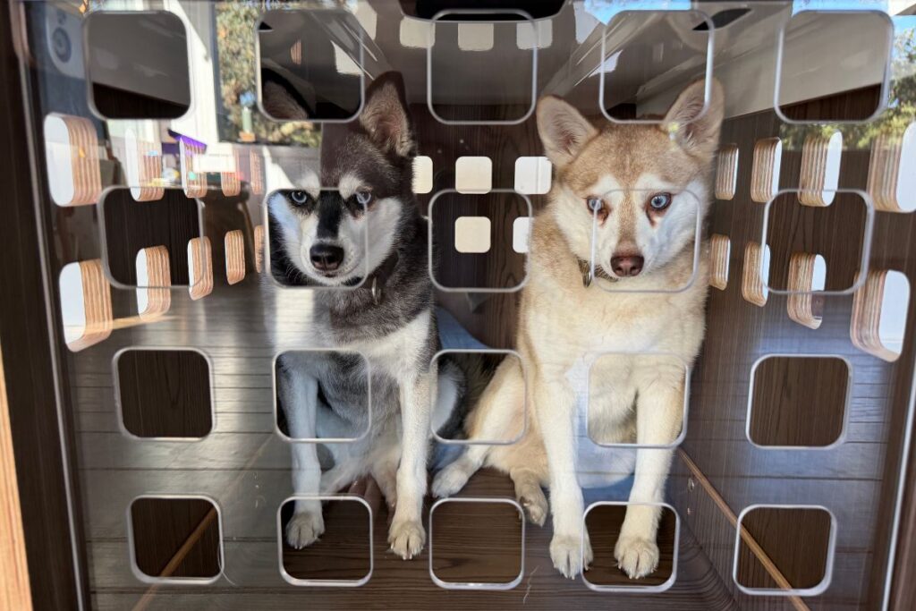 Fable Dog Crate\