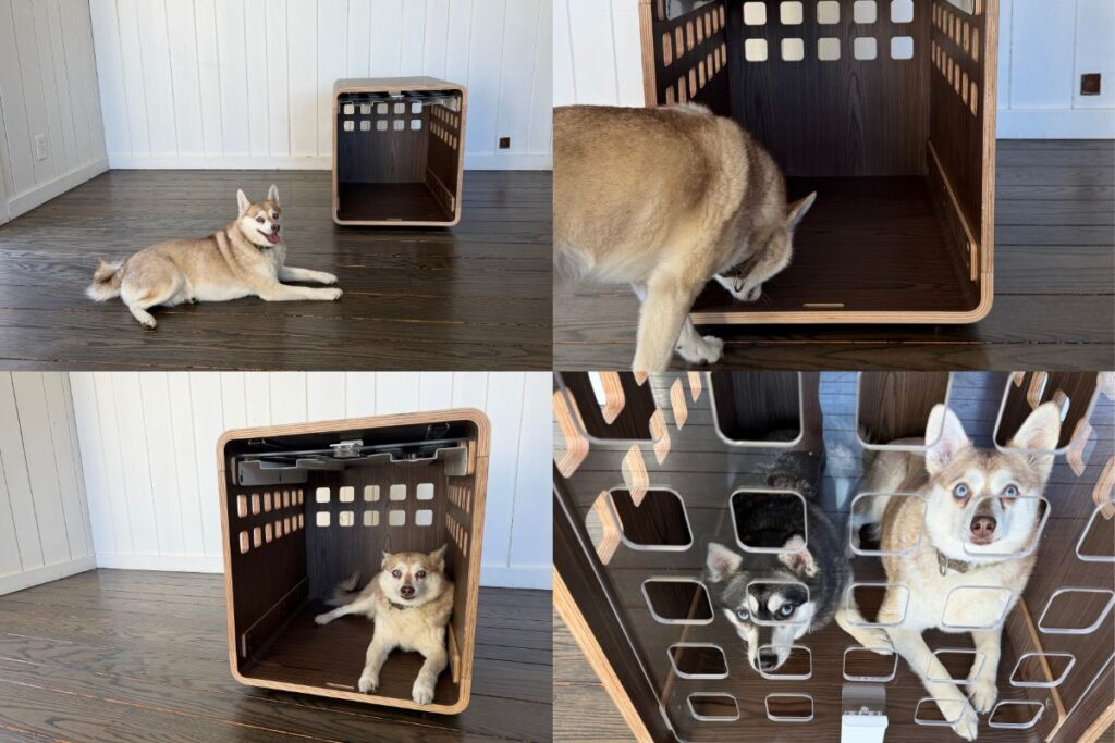 Fable Dog Crate Our Verdict