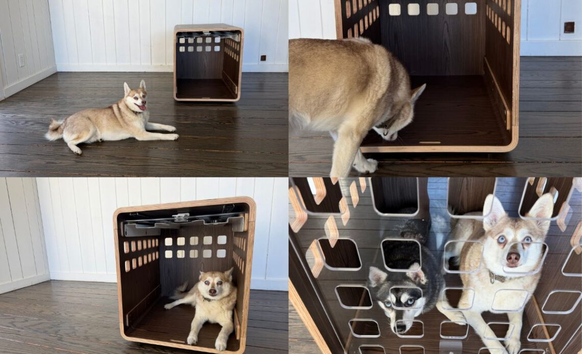 Fable Dog Crate Our Verdict