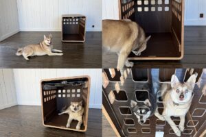 Fable Dog Crate Our Verdict