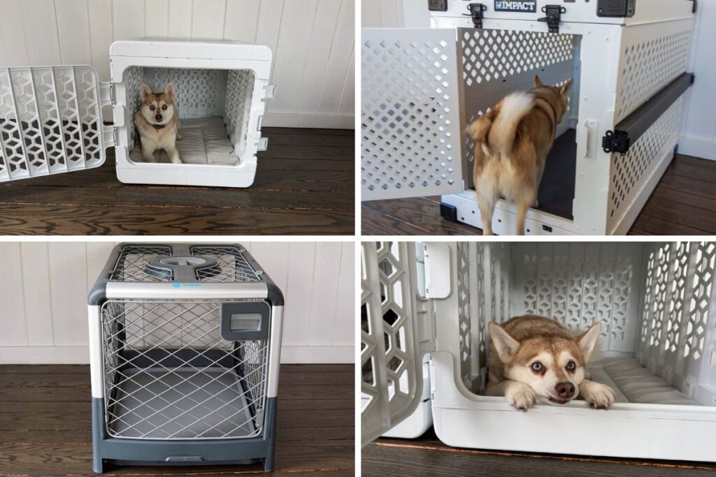 Best Collapsible Dog Crates
