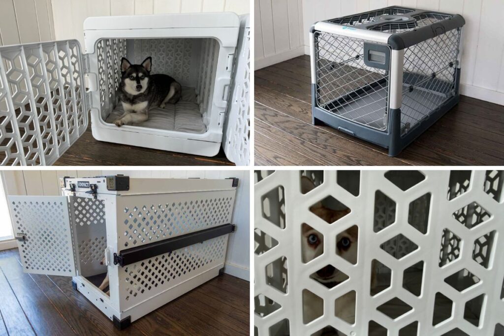 Best Collapsible Dog Crates For Small Dogs