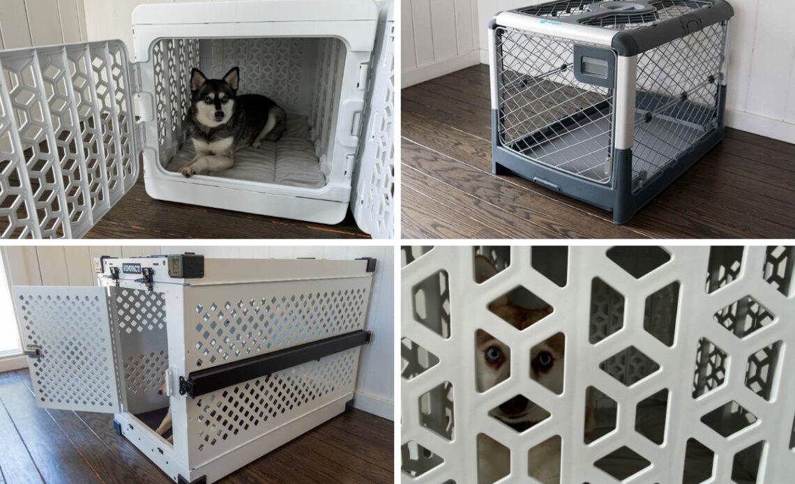 Best Collapsible Dog Crates For Small Dogs