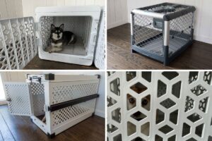 Best Collapsible Dog Crates For Small Dogs