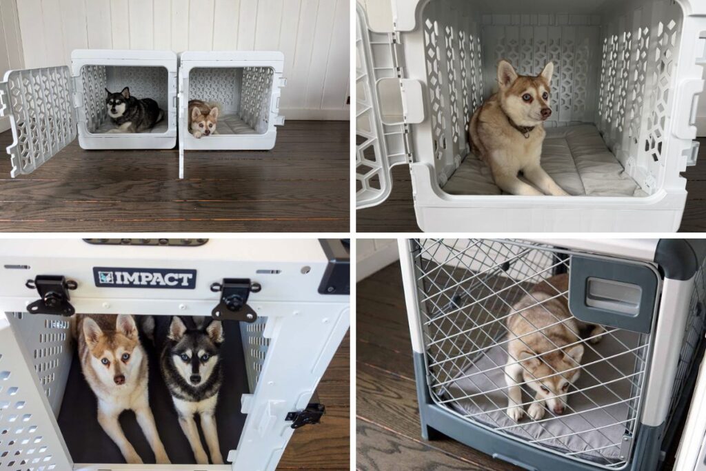 Best Collapsible Dog Crates Verdict