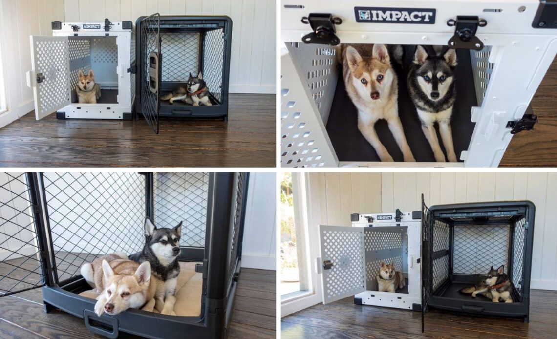 Diggs Revol Dog Crate vs Impact Collapsible Dog Crate