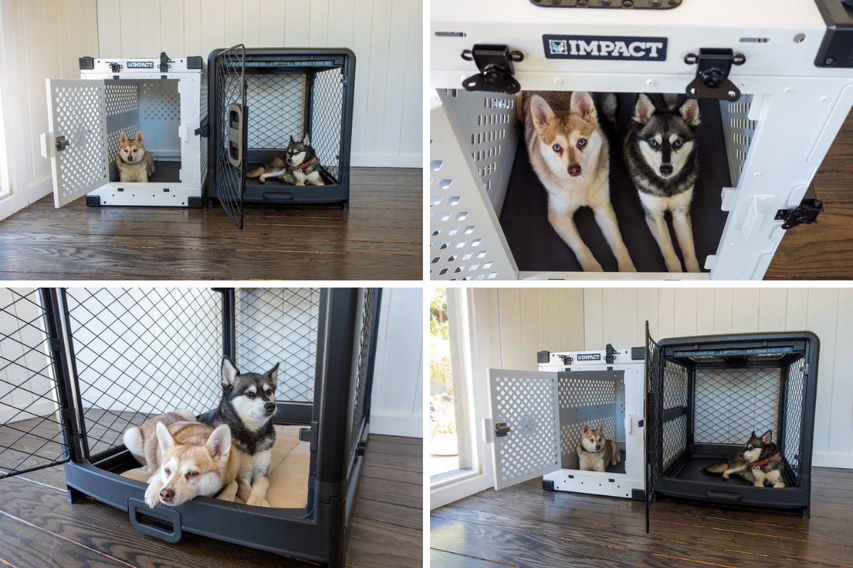 Diggs Revol Dog Crate vs Impact Collapsible Dog Crate