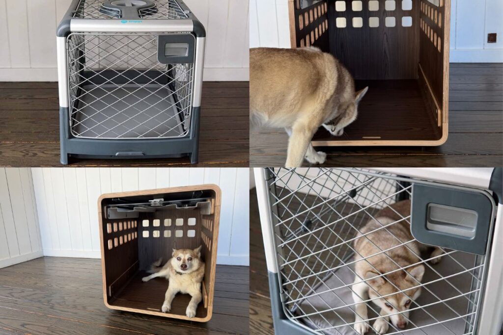 Fable Dog Crate Vs The Revol