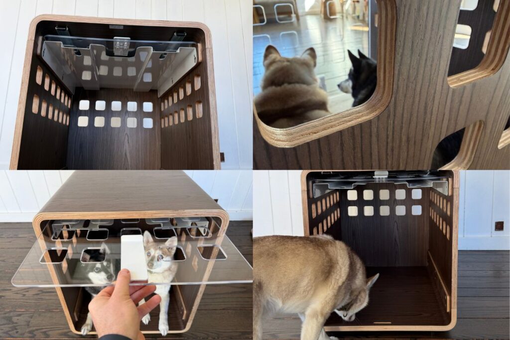 Fable Dog Crate Vs The Revol Our Pick