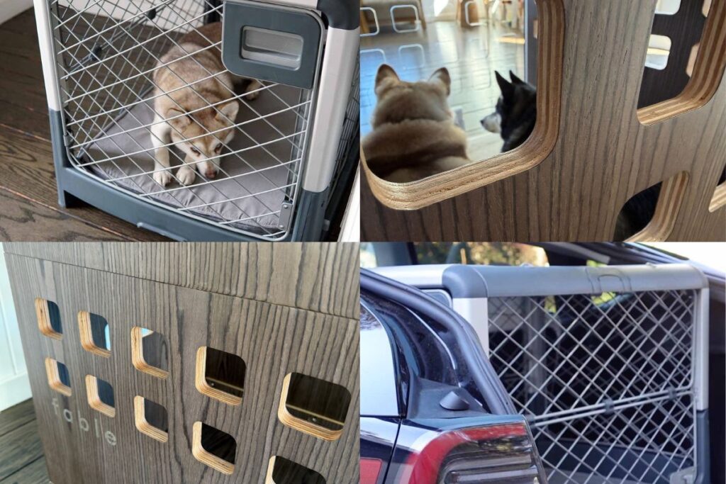 Fable Dog Crate Vs The Revol Our Recommendation