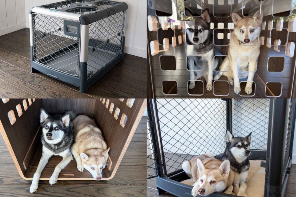 Fable Dog Crate Vs The Revol The Best Dog Crate