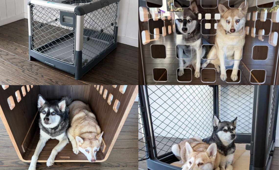 Fable Dog Crate Vs The Revol The Best Dog Crate