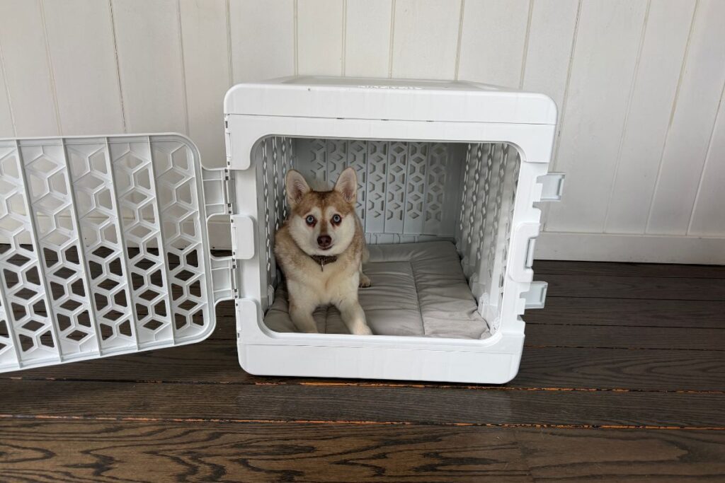 Kindtail PAWD Collapsible Crate