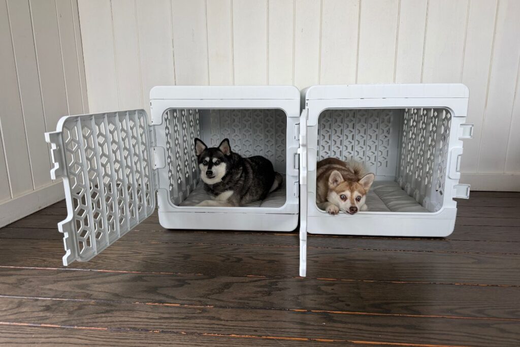 Kindtail PAWD Collapsible Crate