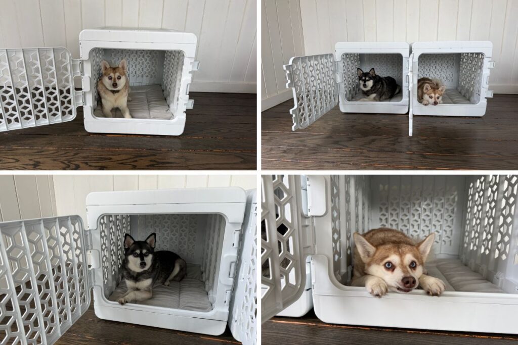 Kindtail PAWD Collapsible Crate Conclusion