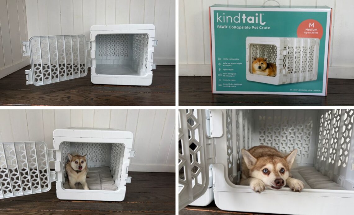 Kindtail PAWD Collapsible Crate Pros & Cons