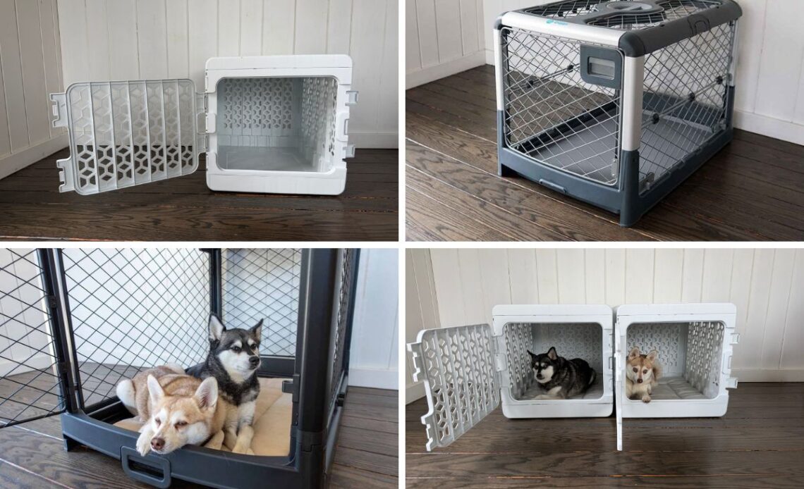 Kindtail PAWD vs Revol by Diggs