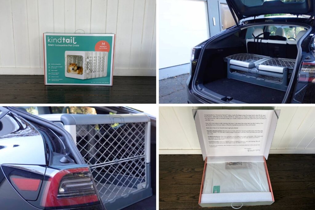 PAWD vs Revol What's The Difference