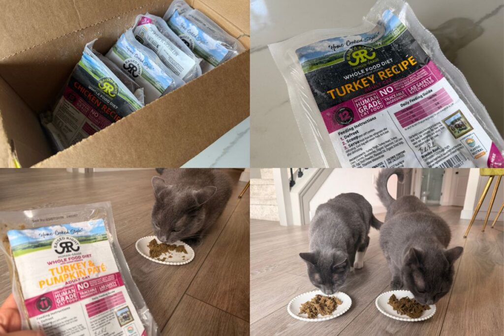 Raised Right Cat Food Pros & Cons