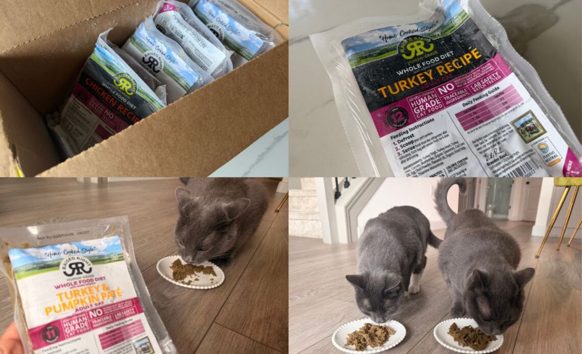 Raised Right Cat Food Pros & Cons