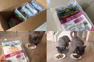 Raised Right Cat Food Pros & Cons