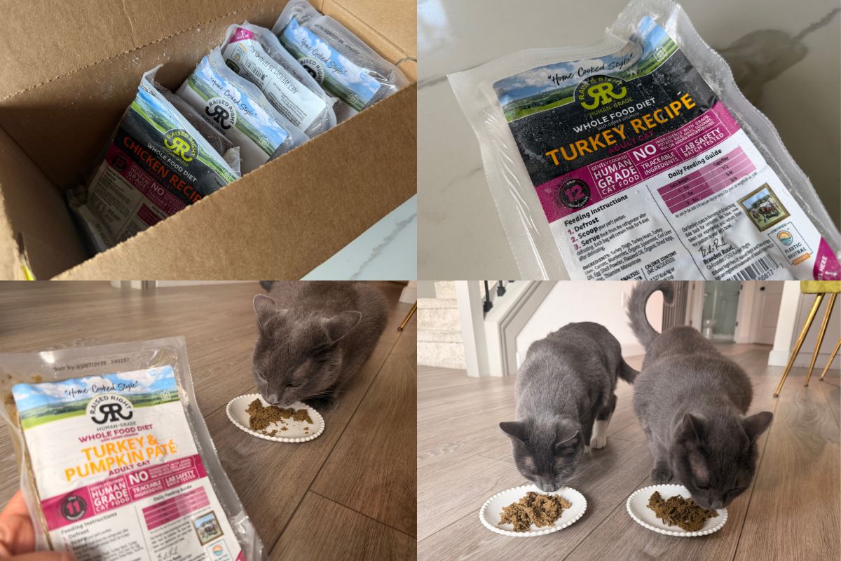 Raised Right Cat Food Pros & Cons