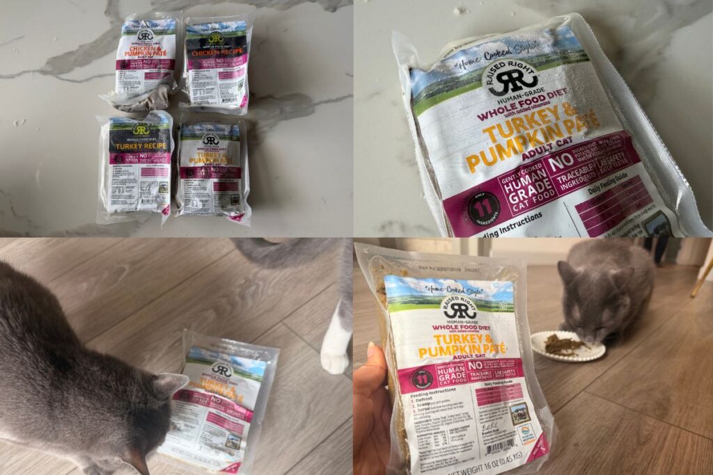 Raised Right Cat Food Review