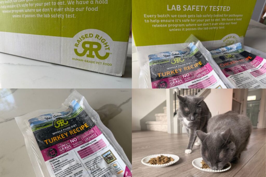 Raised Right Cat Food