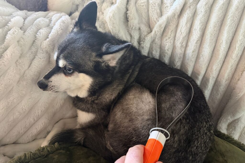 Wahl double-sided brush