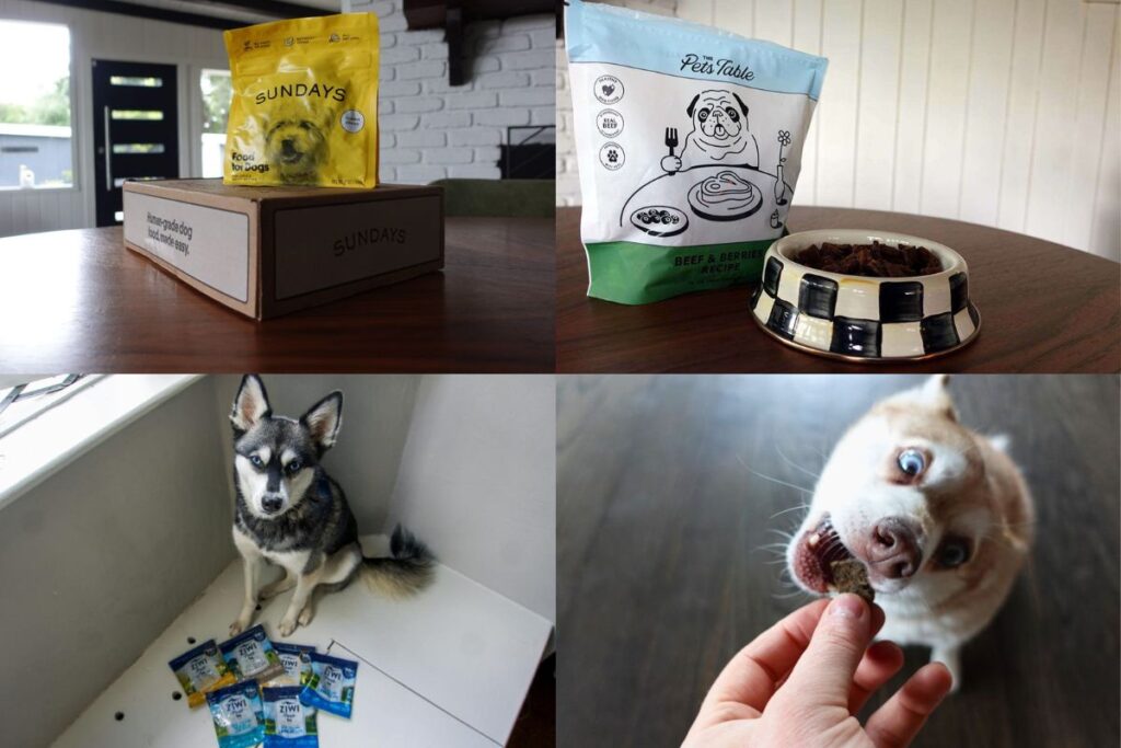 Best Air-Dried Dog Food