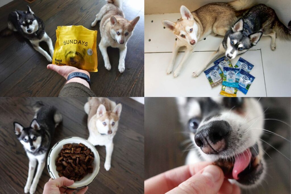Best Air-Dried Dog Food Ultimate Guide