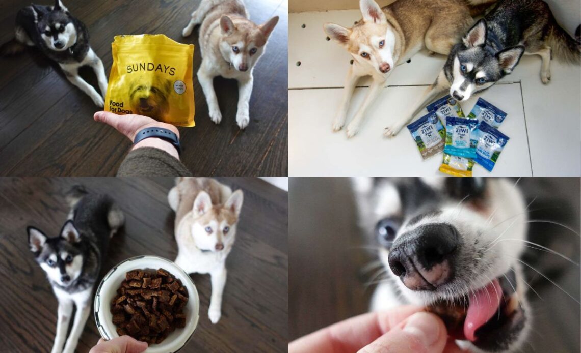 Best Air-Dried Dog Food Ultimate Guide