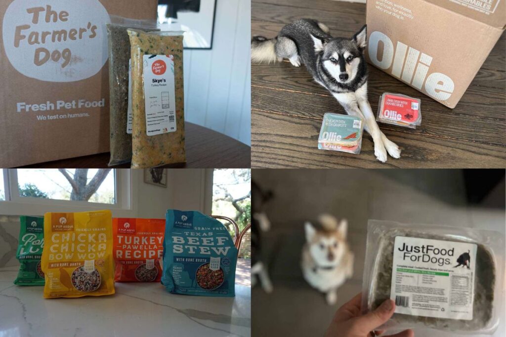 Best Fresh Dog Food For Sensitive Stomachs