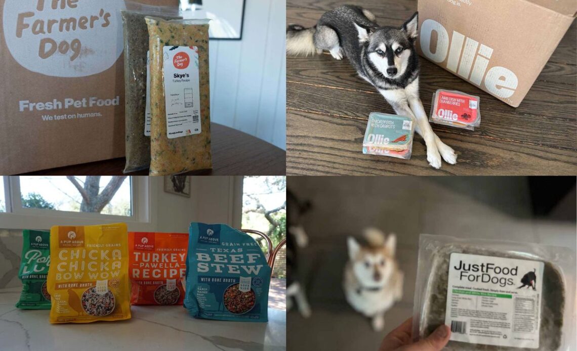 Best Fresh Dog Food For Sensitive Stomachs