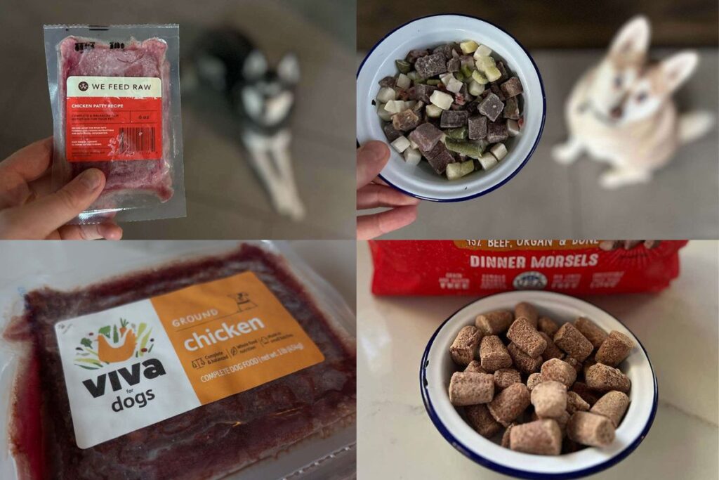 Best Frozen Raw Dog Food Ultimate Guide