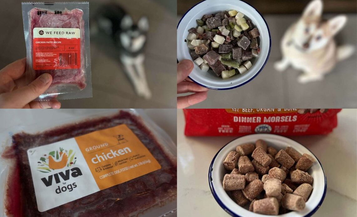 Best Frozen Raw Dog Food Ultimate Guide