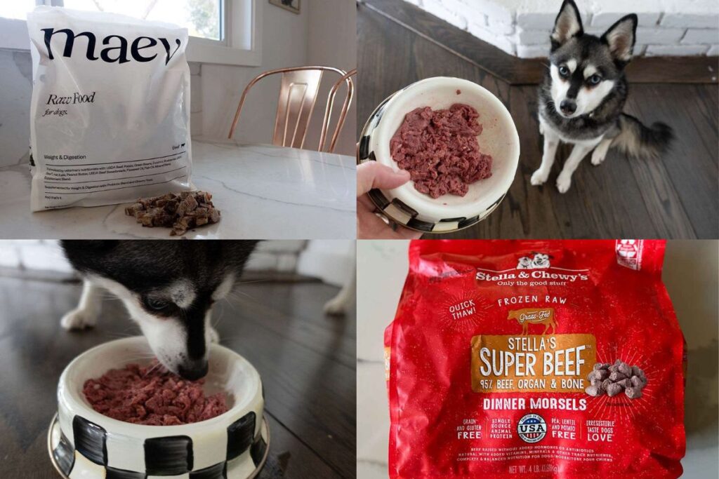 Best Frozen Raw Dog Food Wrapping Up