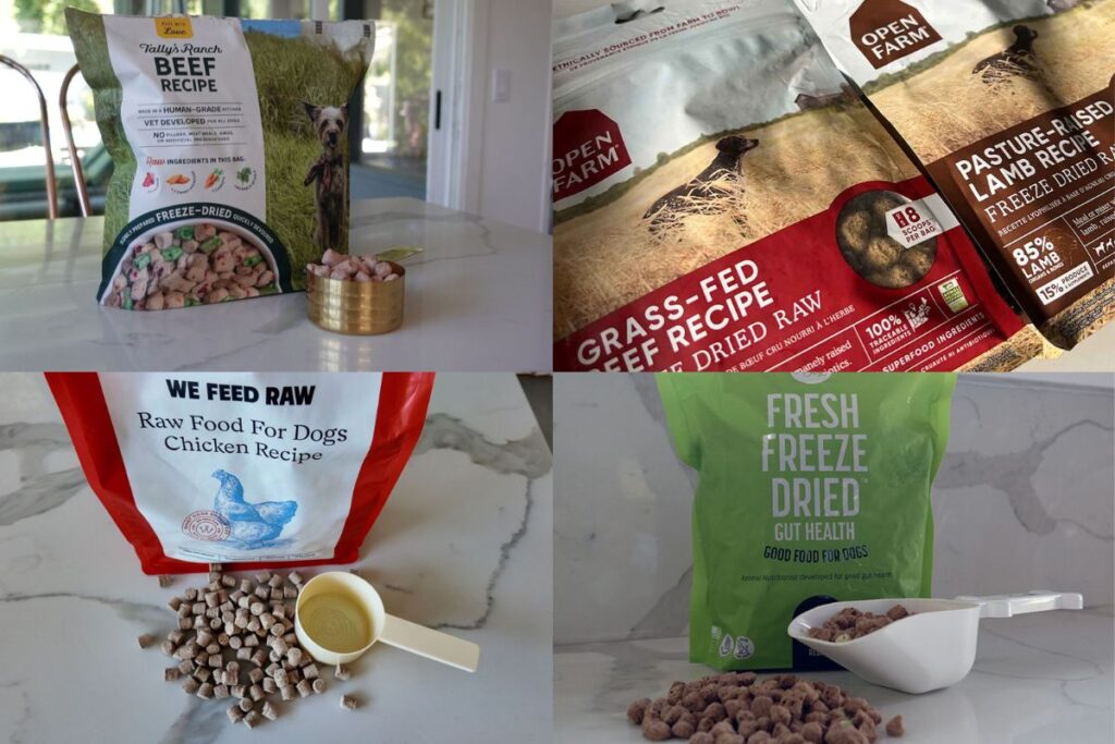 Best freeze-dried raw food