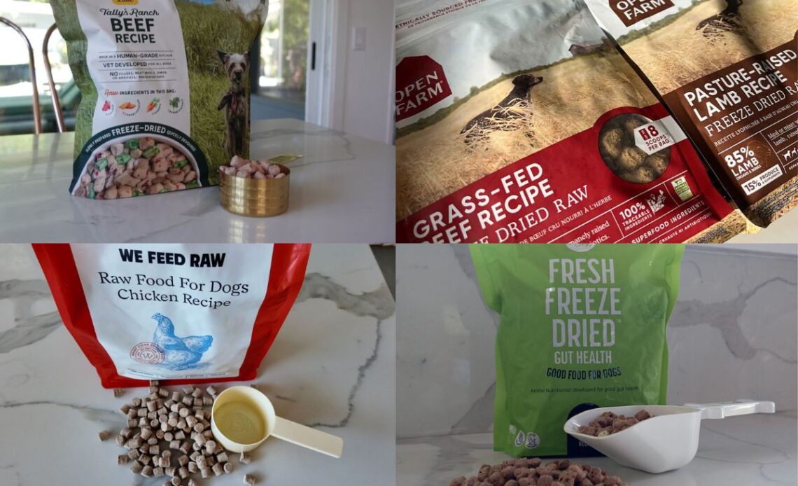 Best freeze-dried raw food
