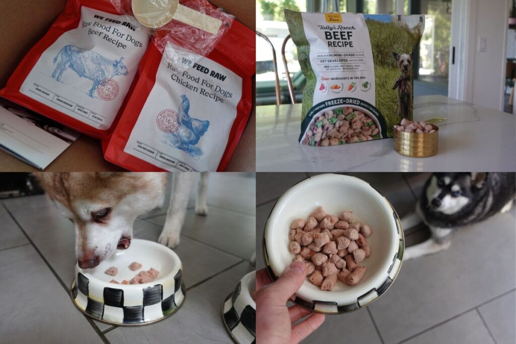 Best freeze-dried raw food guide