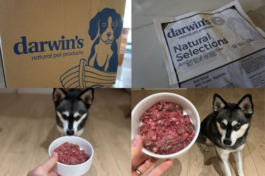 Darwin's Natural Pet Products